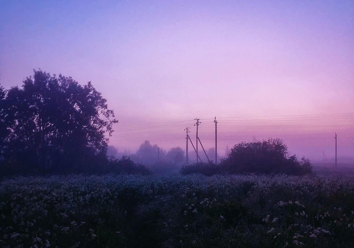 OD体育app-【2.6流言汇总】湖人有意布鲁斯·布朗 篮网拒售大桥